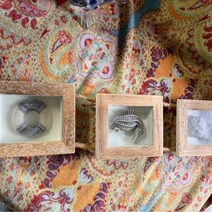 Beach home Decore $10